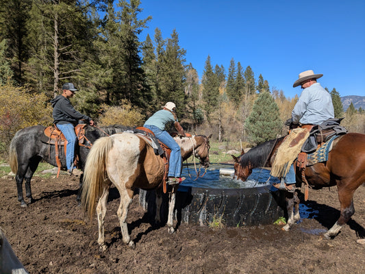 Riding into Fall: A Birthday Tradition