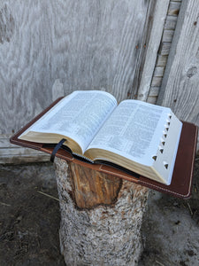 King James Holy Bible with Cover