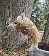 Load image into Gallery viewer, Appaloosa