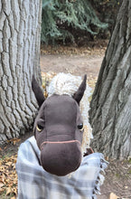 Load image into Gallery viewer, Fancy