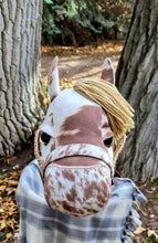 Load image into Gallery viewer, Appaloosa