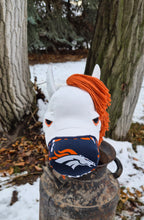 Load image into Gallery viewer, Bronco