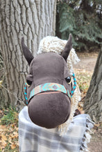 Load image into Gallery viewer, Fancy