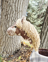 Load image into Gallery viewer, Appaloosa