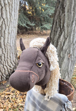 Load image into Gallery viewer, Fancy