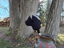 Load image into Gallery viewer, Kody