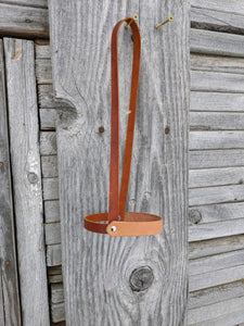 Halter/Reins  The Branded Horses